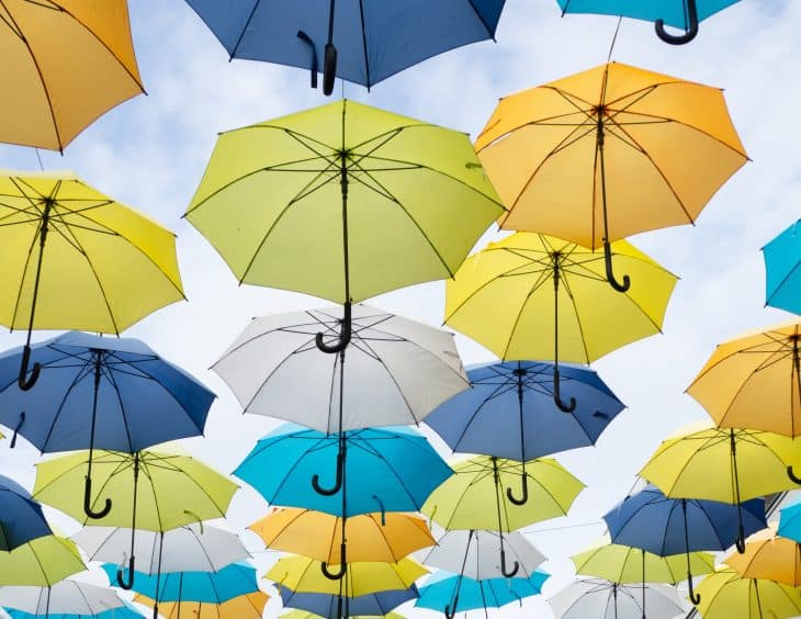 weather facts