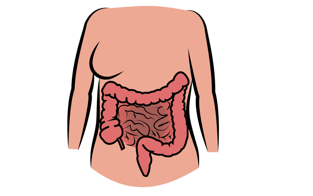 funny facts human body
