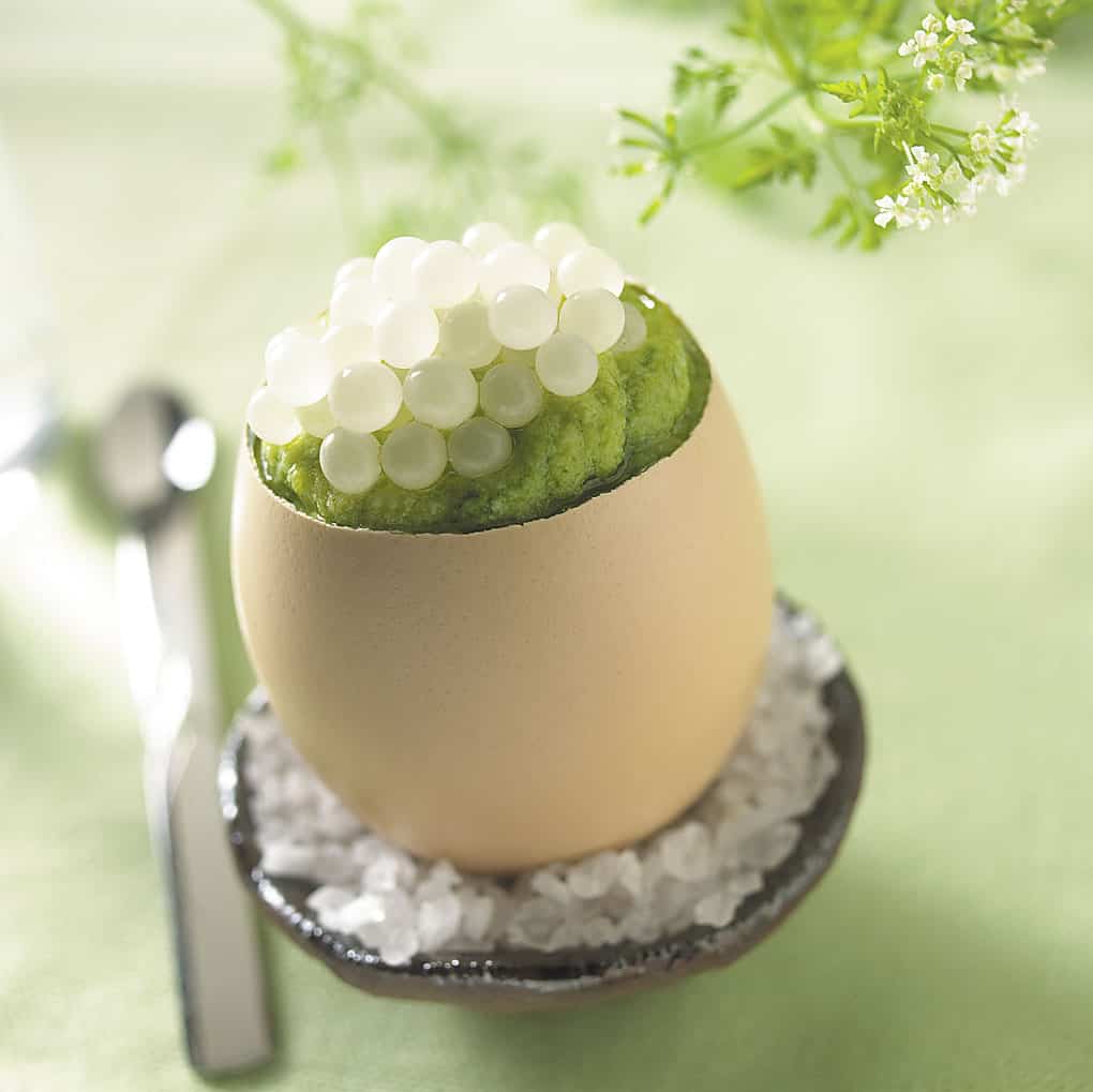 snail caviar, snail facts