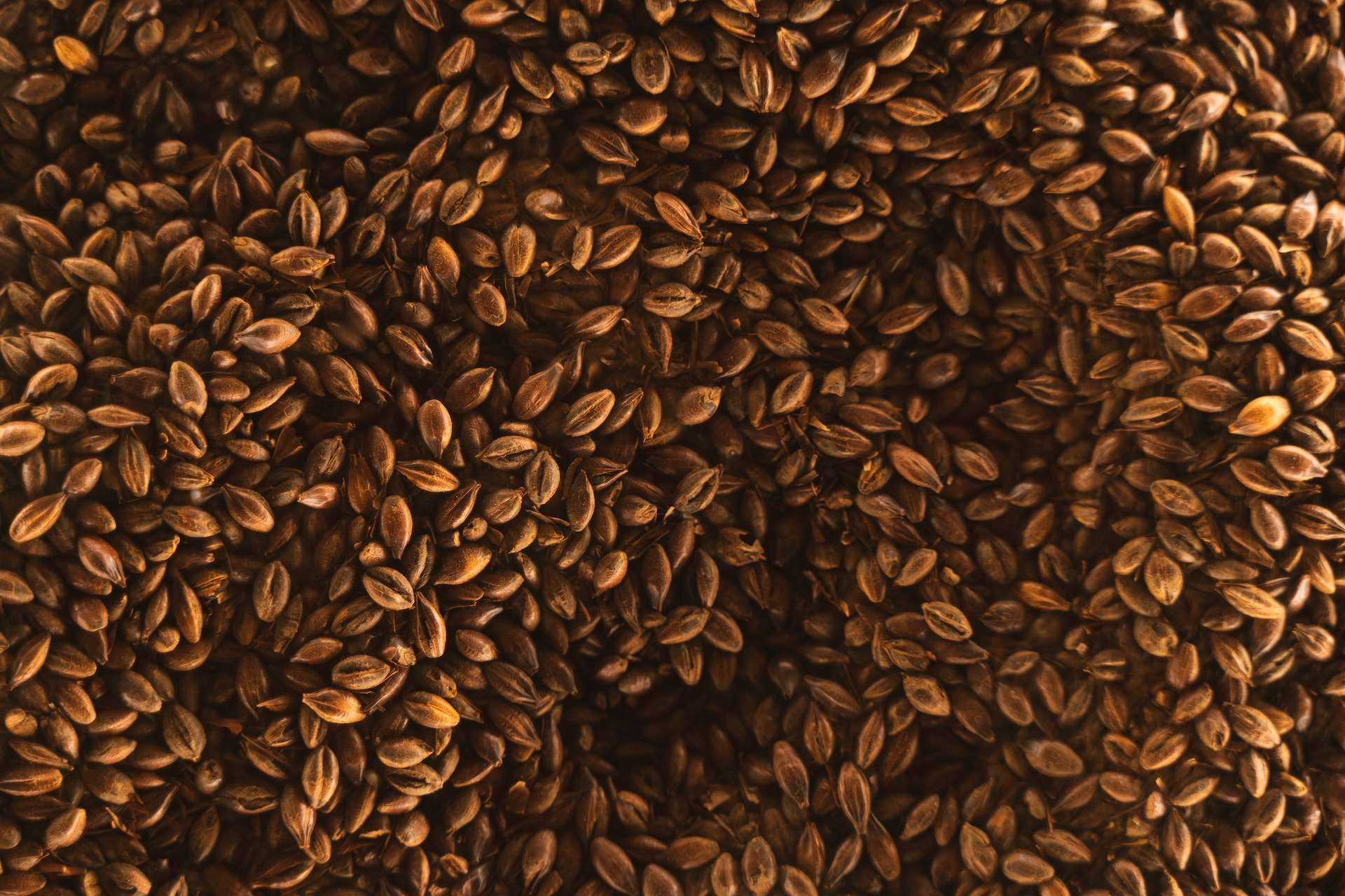 Flaxseeds