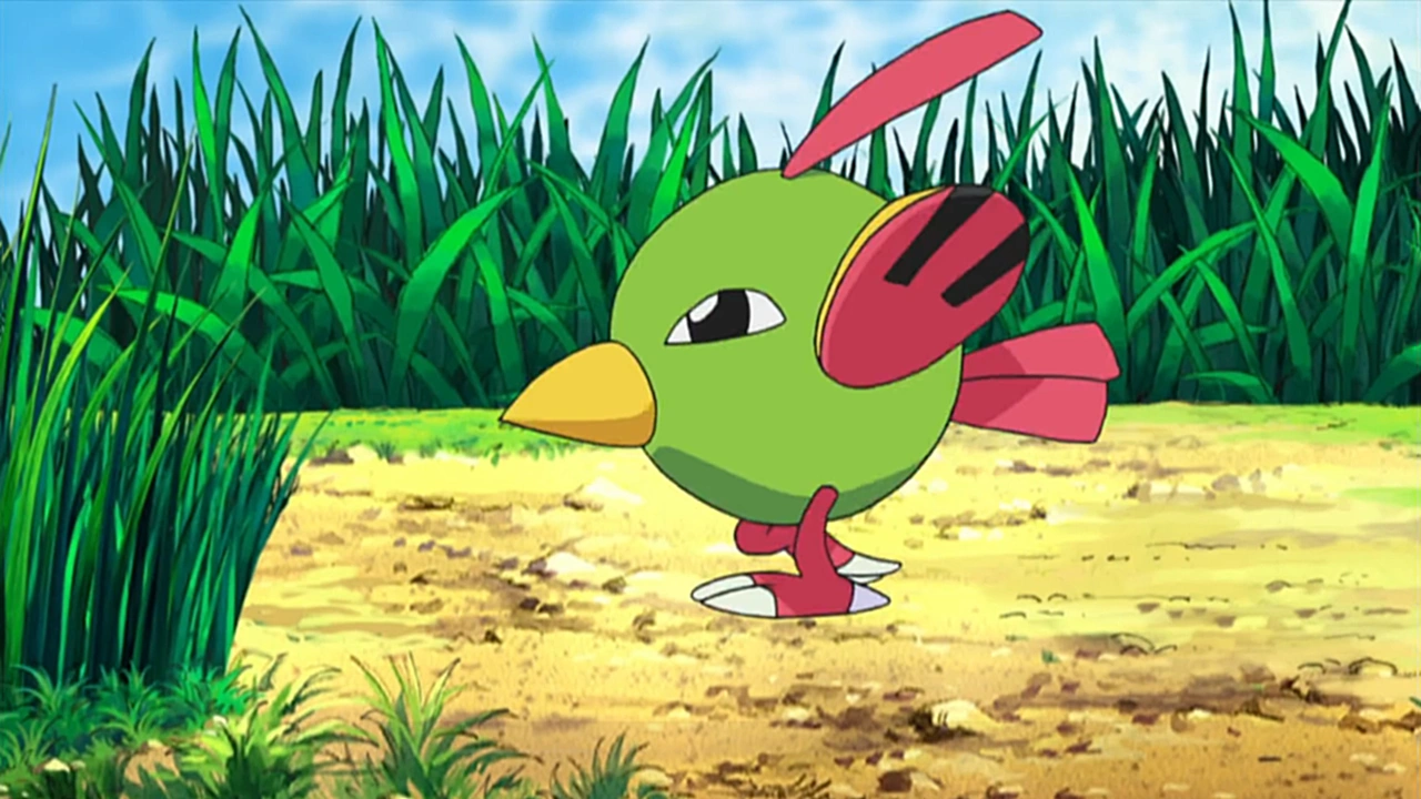 20-facts-about-natu