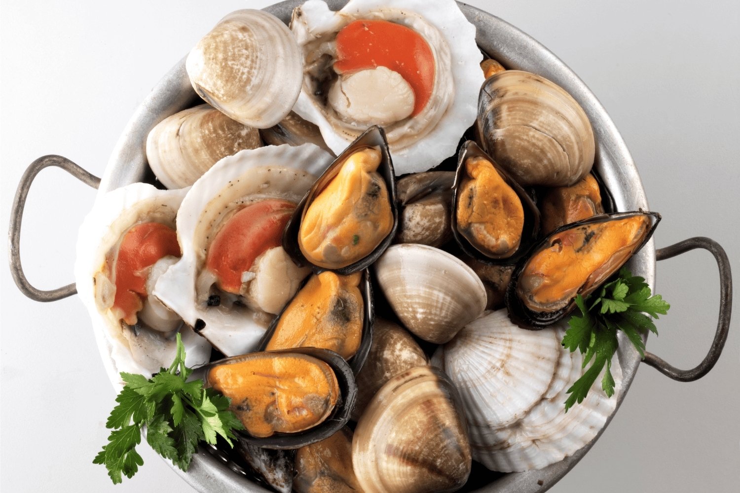30-facts-about-shellfish